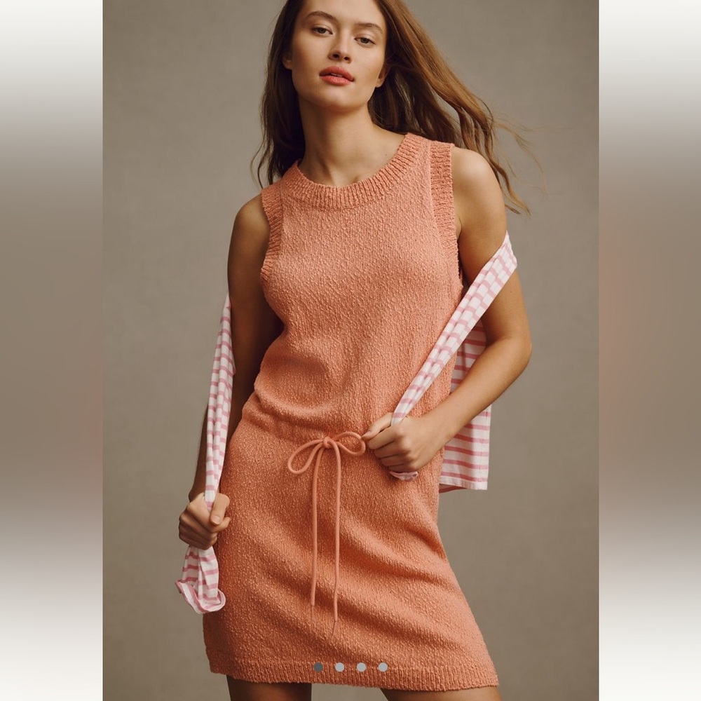 Sundays Faye mini dress (NWOT)